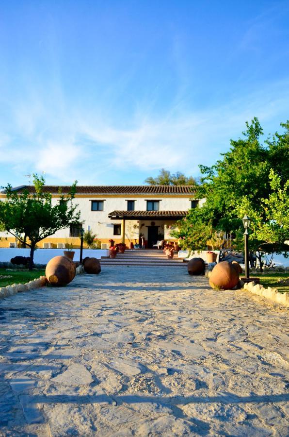 Cortijo Mesa De La Plata Guest House Arcos de la Frontera Ngoại thất bức ảnh