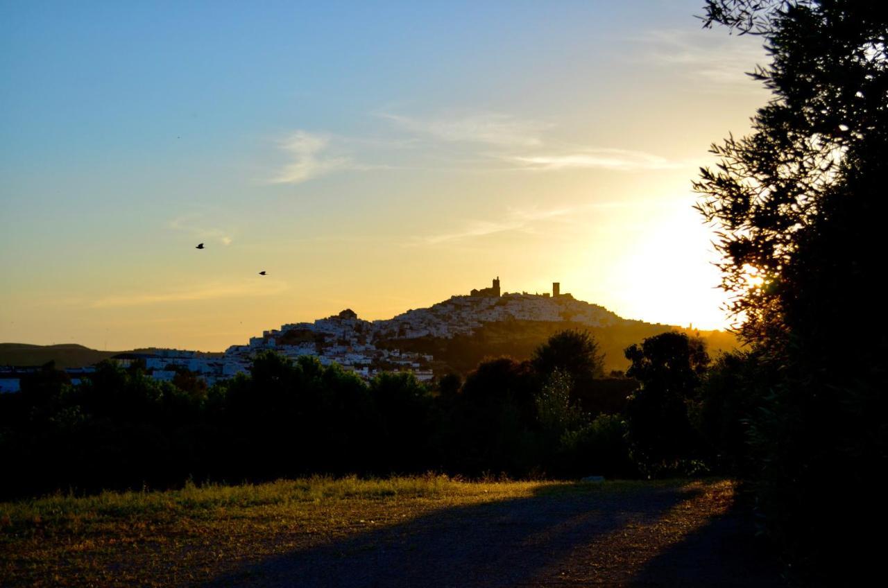 Cortijo Mesa De La Plata Guest House Arcos de la Frontera Ngoại thất bức ảnh