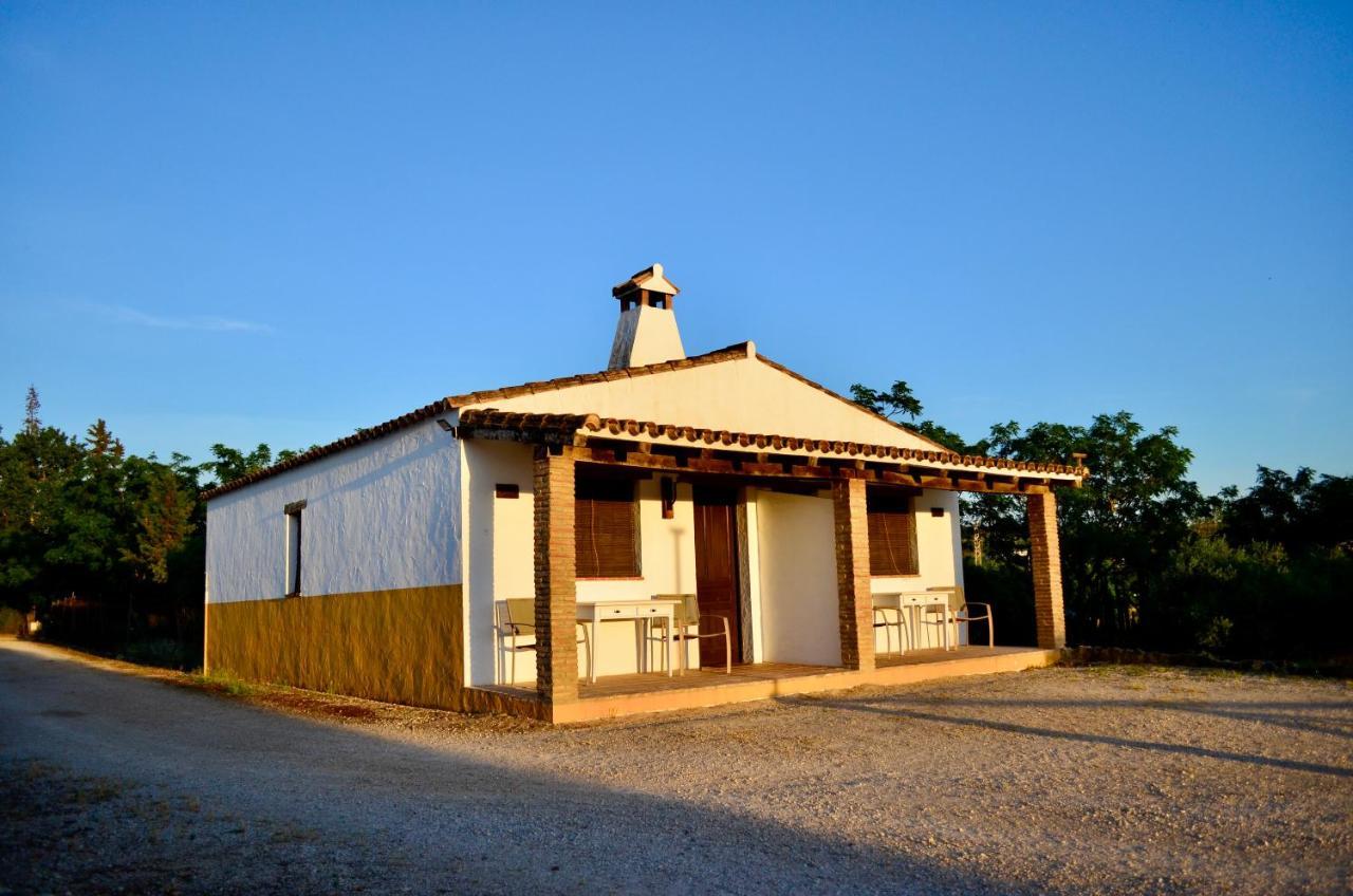 Cortijo Mesa De La Plata Guest House Arcos de la Frontera Ngoại thất bức ảnh