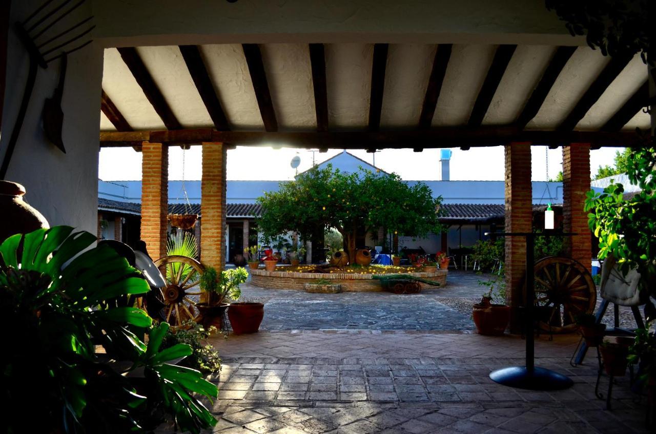 Cortijo Mesa De La Plata Guest House Arcos de la Frontera Ngoại thất bức ảnh