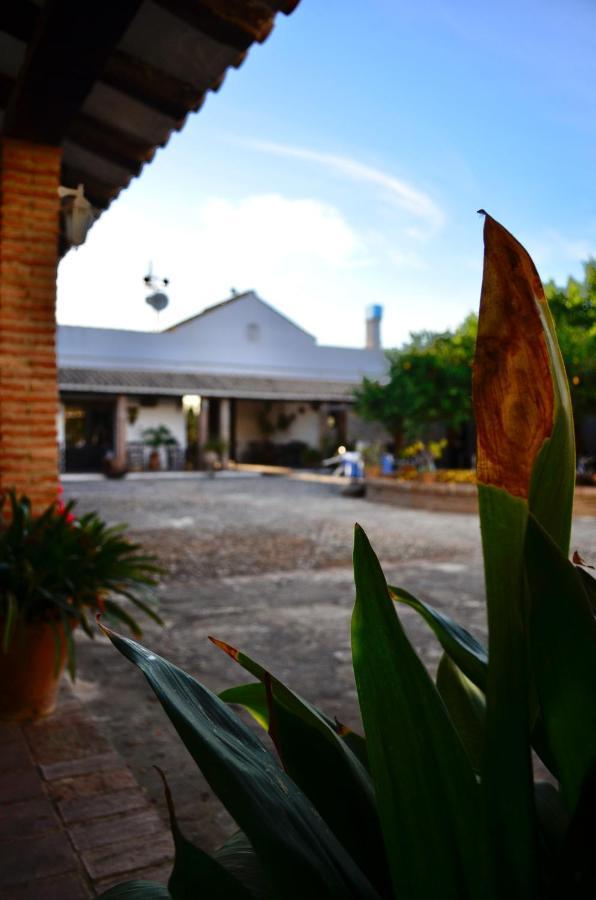 Cortijo Mesa De La Plata Guest House Arcos de la Frontera Ngoại thất bức ảnh